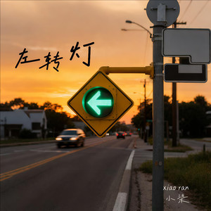 左转灯-小染