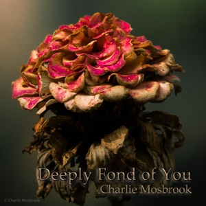 Deeply Fond of You (Explicit)