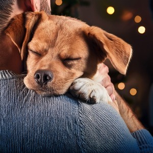Criatura Silenciosa Vence A Calmante