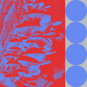 Budakid - Ringo Bingo (Benjamin Fröhlich Remix)