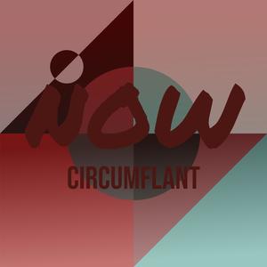 Now Circumflant