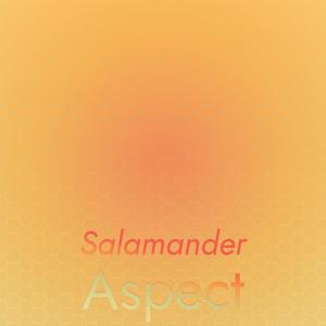 Salamander Aspect