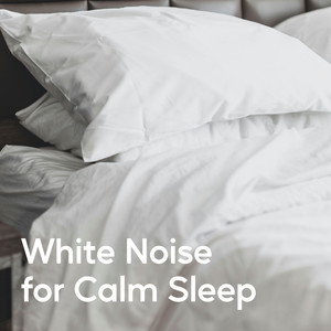 Calm Sleep Noise
