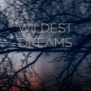 Wildest Dreams