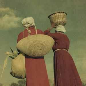 Safari (feat. furaha)