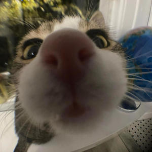 GIRL I DONT WANT?! (Explicit)