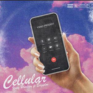 Cellular