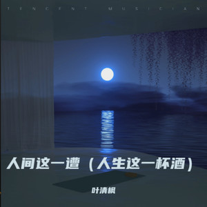 人间这一遭 (沧桑版)