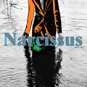 Narcissus