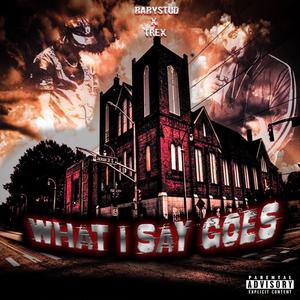 What I Say Goes (feat. Trex Jani$$e) (Explicit)