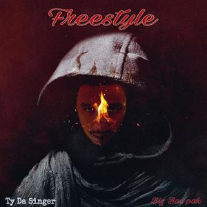 Freestyle (feat. Big Bac Pak) [Explicit]