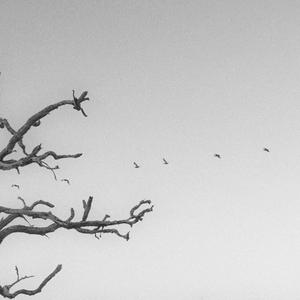 As Free As You: Unplugged (feat. Billy Gunther)