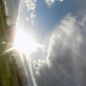 dead functions (Explicit)