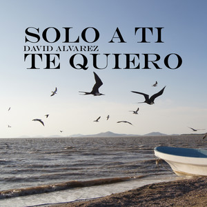 Solo a Ti Te Quiero