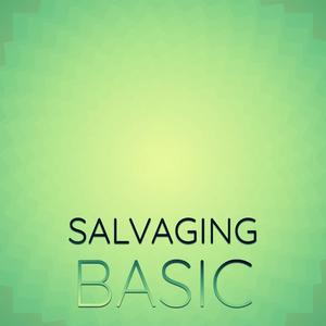 Salvaging Basic