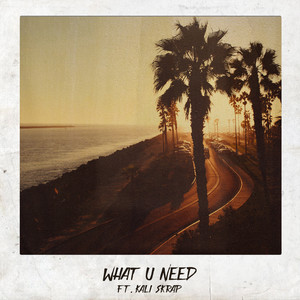 What U Need (Explicit)