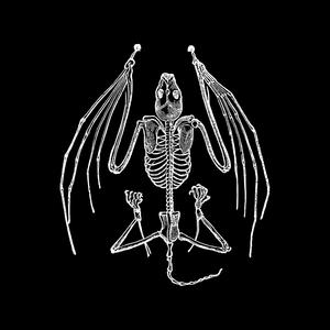 BOKO BAT (Explicit)
