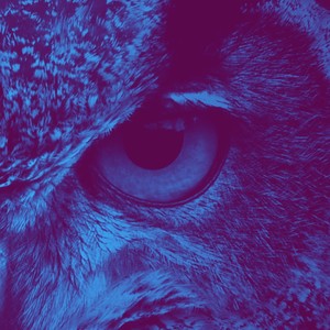 Breathe, Rise, Still