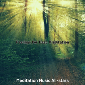 Simple Music for Meditation Therapy