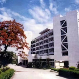 凤凰树下又迎春风 伴唱版