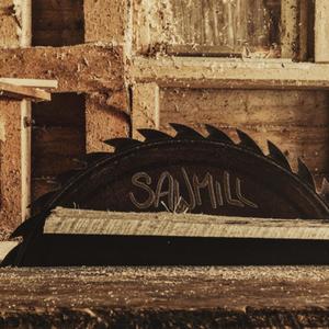 The Saw Mill (feat. Dragon's Pitchfork, Zo the Instrument Being & GRYSKLL) (Inst.)