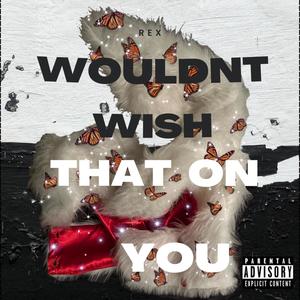 Wouldn't Wish That On You (Explicit)