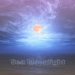 Sea Moonlight