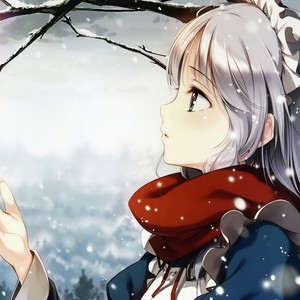 雪之华