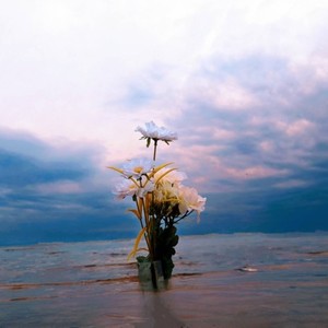 天空の花