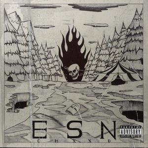 ESN (Explicit)