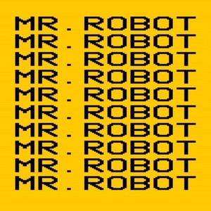 Mr. Robot