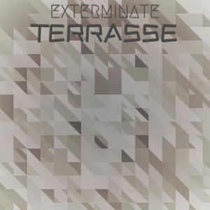 Exterminate Terrasse