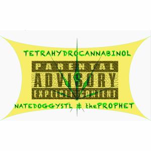 Tetrahydro********** (feat. thePROPHET) (Explicit)
