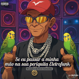 Se Eu Passar a Minha Mão na Sua Periquita (Eletrofunk) (Explicit)