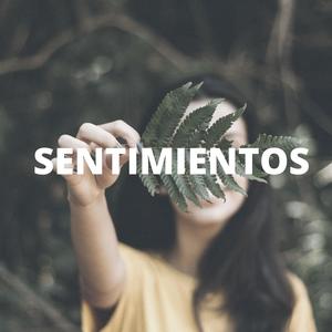 Sentimientos