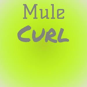Mule Curl