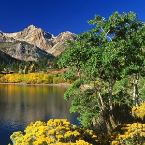 时光背面的我 (官方正版)