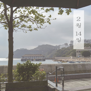 2월 14일 (2月14日)
