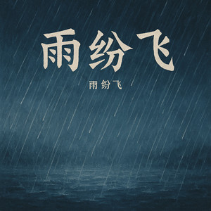 雨纷飞 (DJ顶级旋律版)