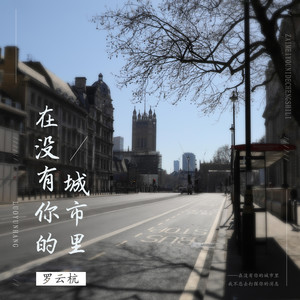 在没有你的城市里-罗云杭