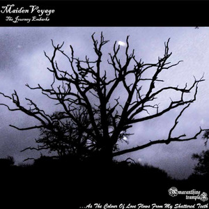 The Journey Embarks (Introduction)