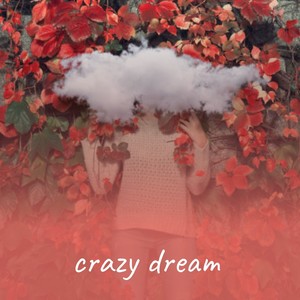 Crazy Dream
