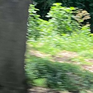 Your Eyes (Explicit)