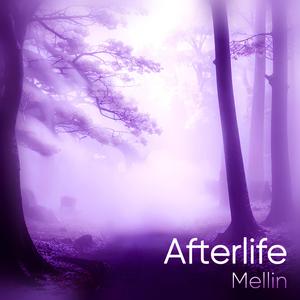 Afterlife