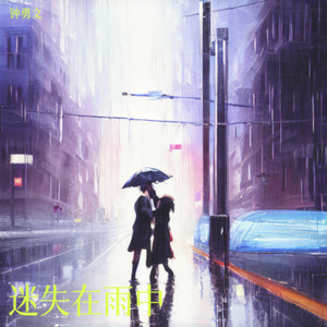 迷失在雨中