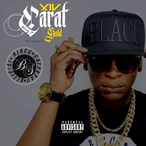 14 Carat Gold Album (Explicit)