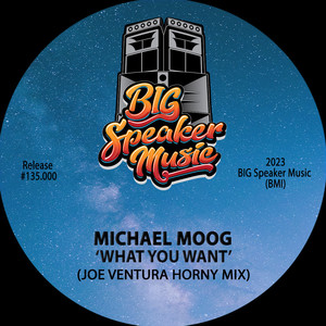 What U Want (Joe Ventura Horny Edit)
