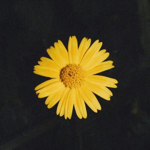 era o nome da sua falta