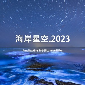 来自2023的海岸星空