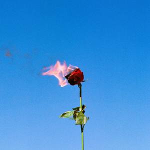 Glass Hearts (How Much You Mean) (Explicit)